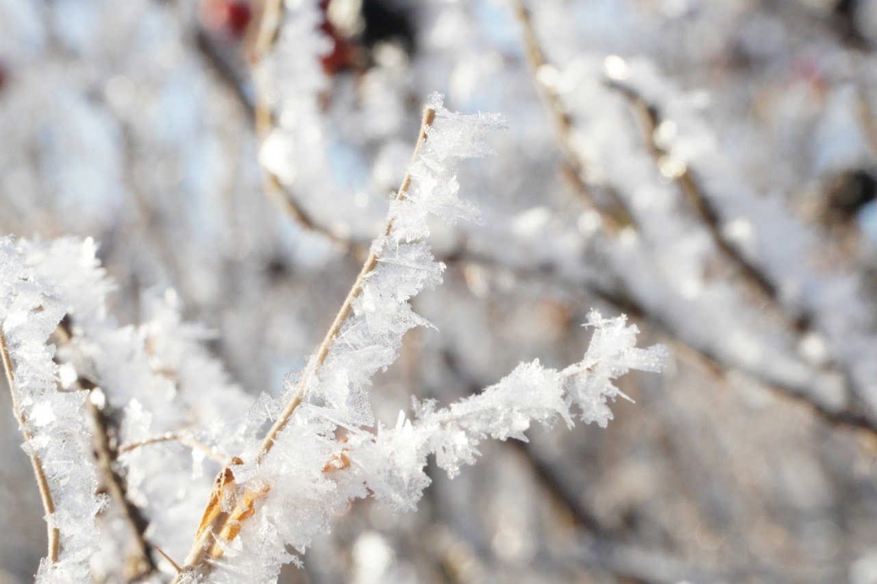 Зимний Саров - 14.jpg.jpg